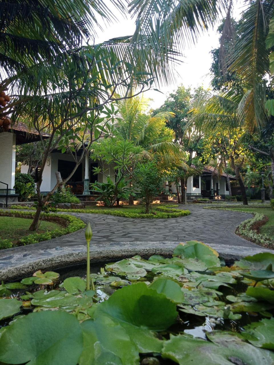 Rini Hotel Lovina Zewnętrze zdjęcie